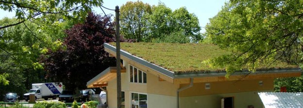 Green roof on a straw bale teaching kitchen